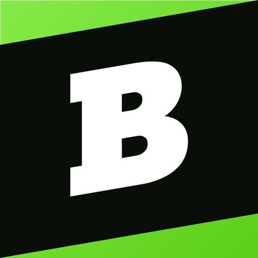 Brainly Ai Homework Helper