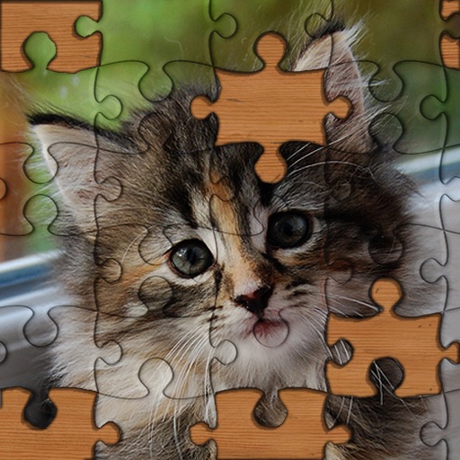 Jigsaw Puzzles