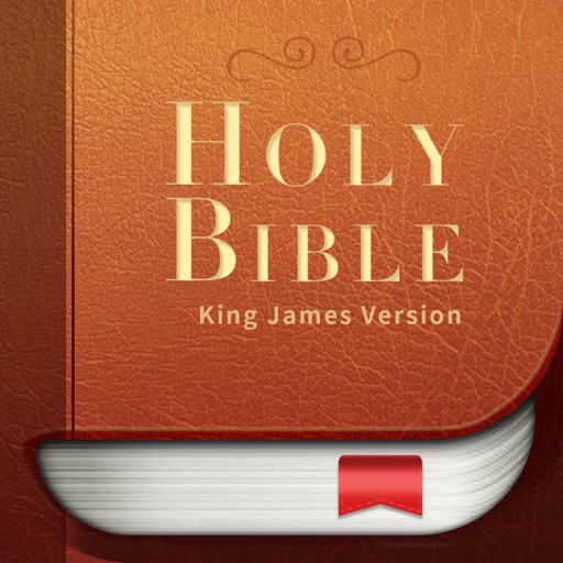 K J V Holy Bible