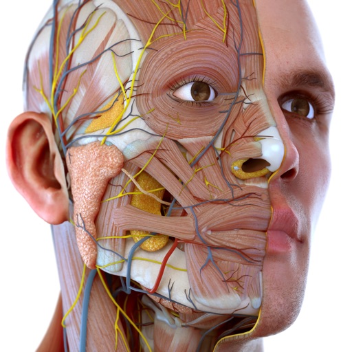 Download Visual Anatomy 3D - Human Body IPA iOS icon